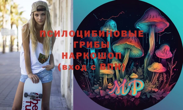 спиды Алексеевка