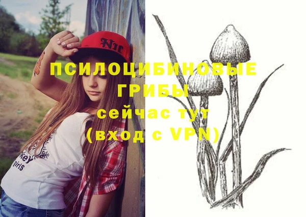 кокс Алзамай